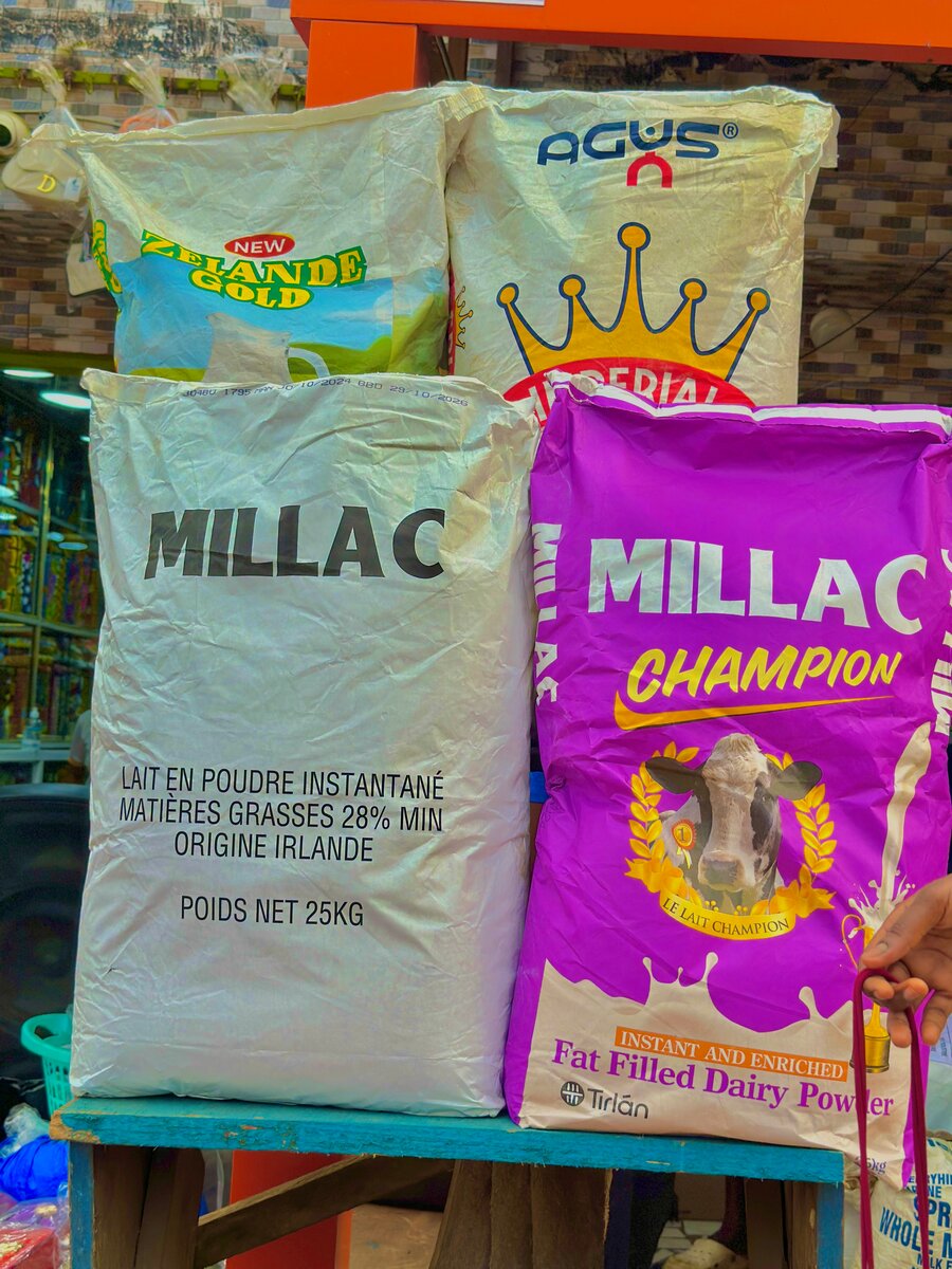 Lait en Poudre Écrémé Instantané