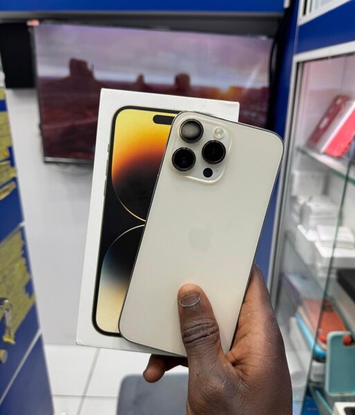 iPhone 14 Pro Max 256GB Argent