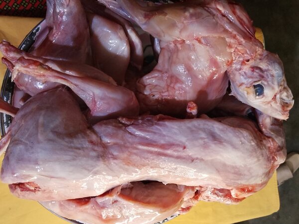 Viande de Lapin Fraîche