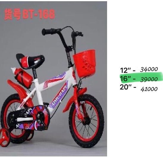 Kids Bicycle with Training Wheels