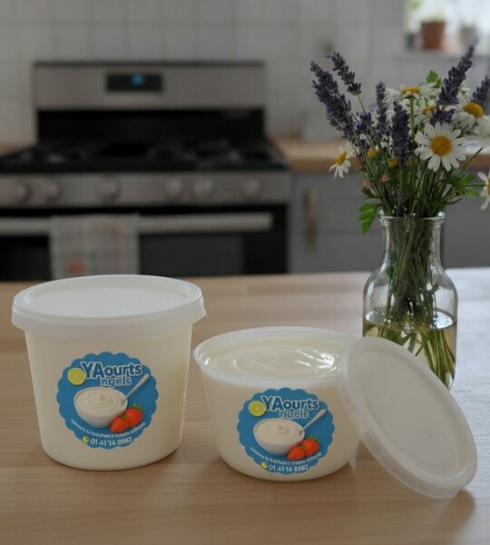 Yaourt Naturel Crémeux 500g