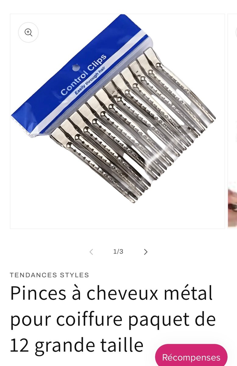 Pinces à cheveux métal x12
