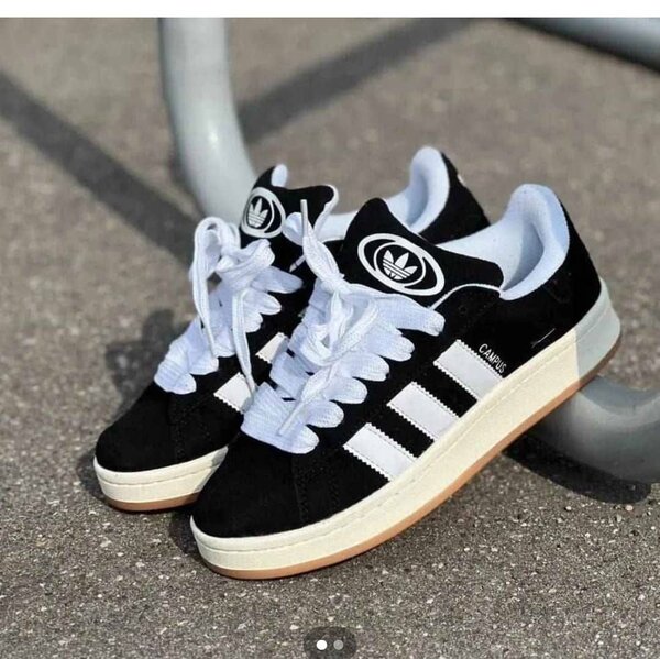 Chaussures Adidas Campus Classiques
