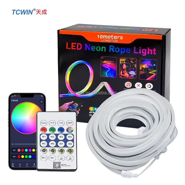Guirlande Neon LED RGB 10m