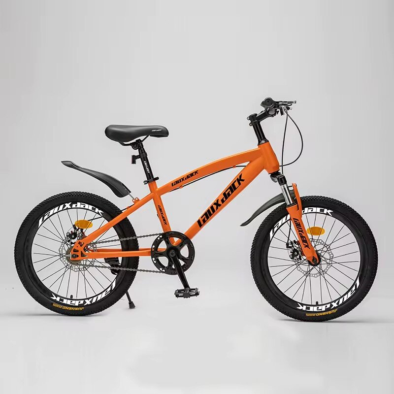 Vélo Tout-Terrain Robuste