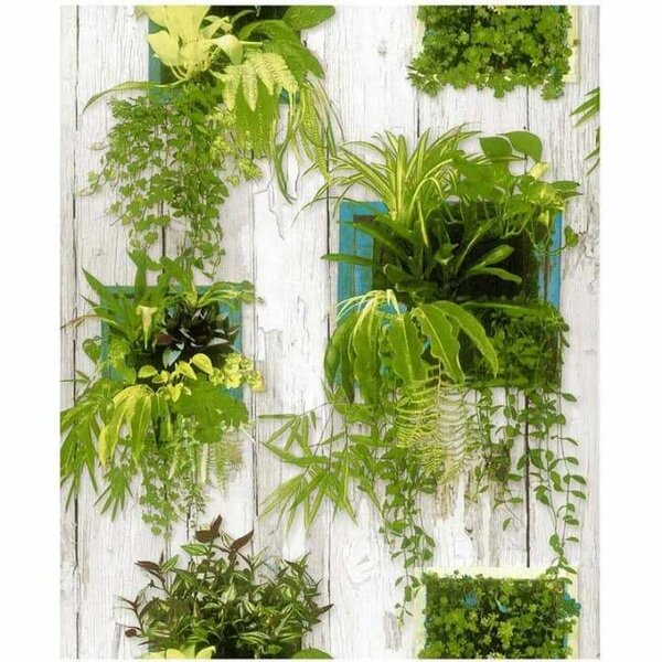Papier peint plantes suspendues