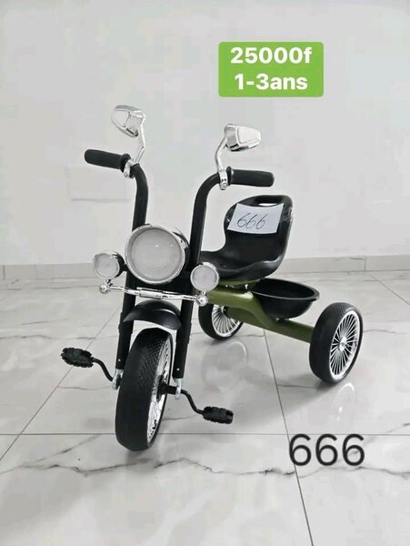 Tricycle Enfant Luxe