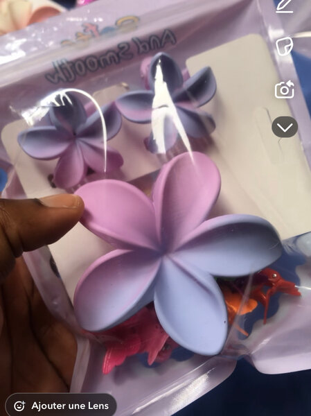 Pinces à cheveux fleurs colorées
