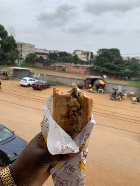 Delicious Beef Shawarma Wrap