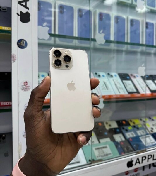 iPhone 13 Pro Max Argent