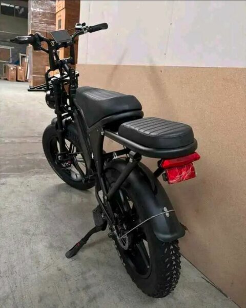 Vélo électrique robuste