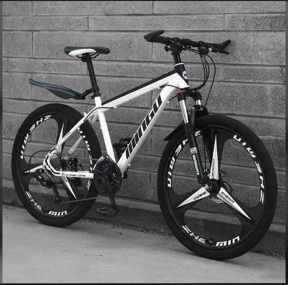 VTT tout suspendu noir et blanc