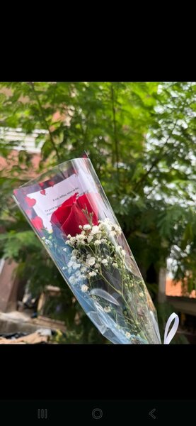 Rouge Fleur élégante pour Saint-Valentin