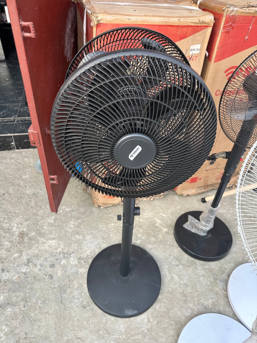 Ventilateur sur pied double