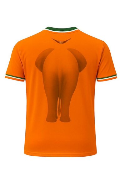 Maillot Éléphant Côte d'Ivoire