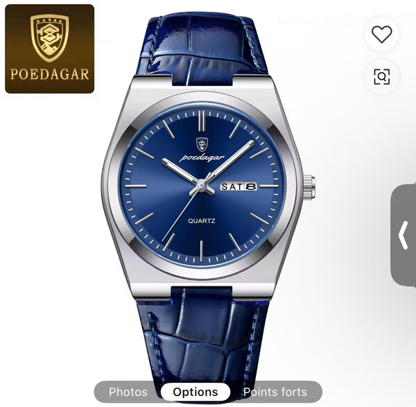 Montre homme POEDAGAR quartz luxe