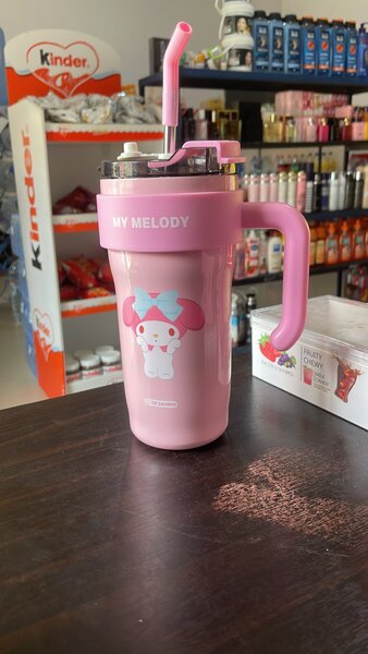 Tasses à Paille Sanrio Réutilisables