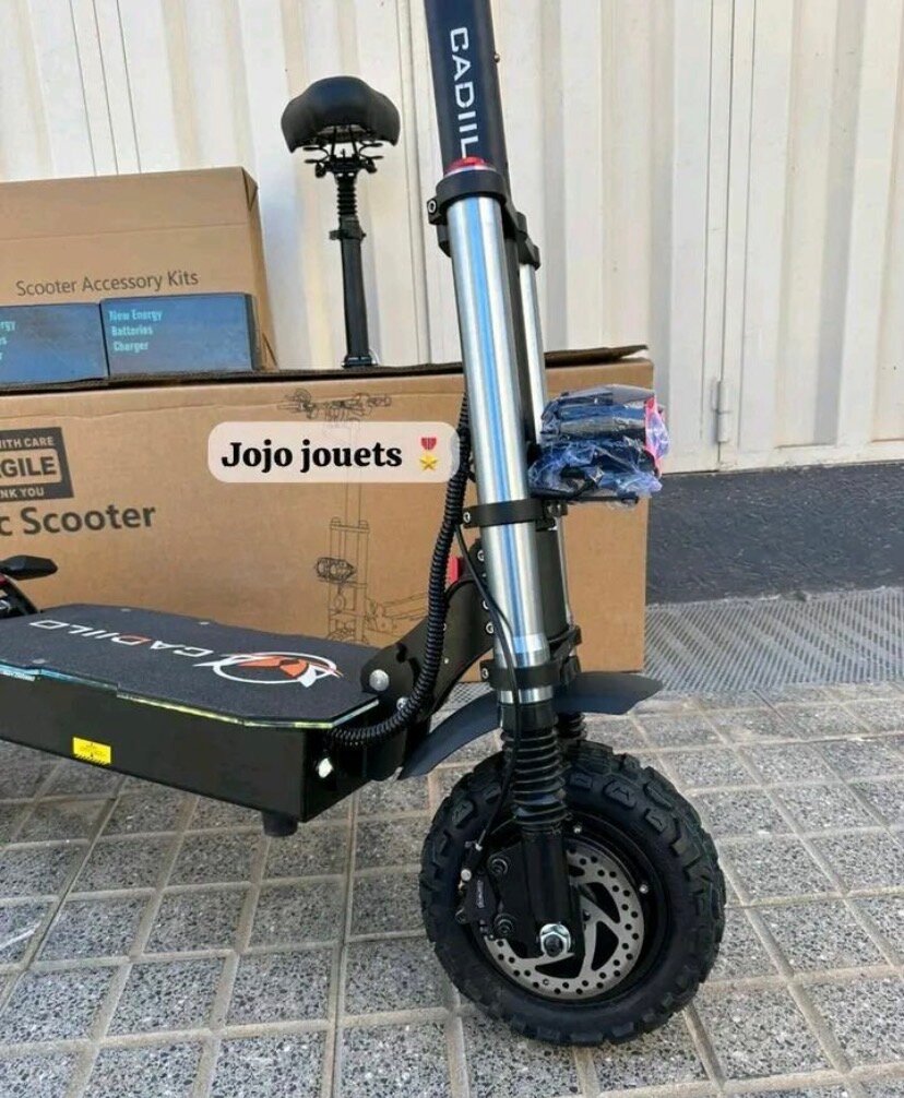 Trottinette Électrique Puissante