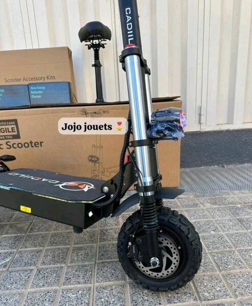 Trottinette Électrique Puissante