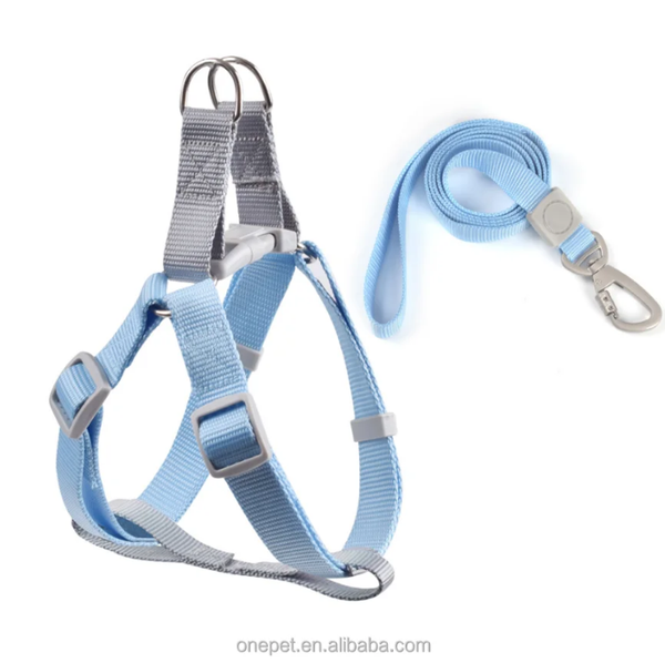 Harnais pour chien avec laisse bleu ciel