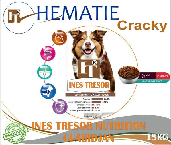 Croquettes pour chiens adultes