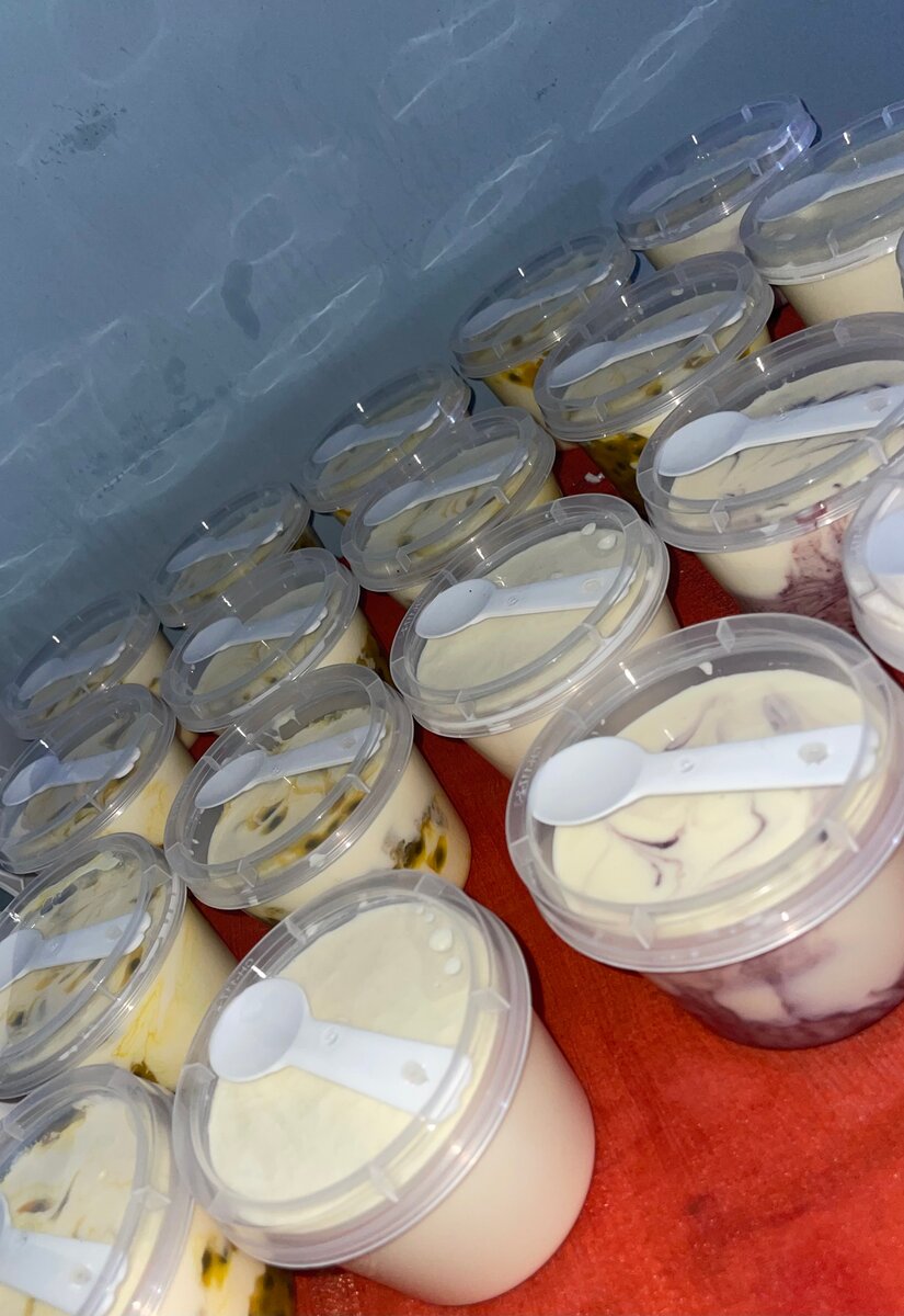 Yaourts fruités maison