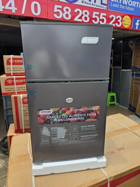 Réfrigérateur ÉcoSmart 200L