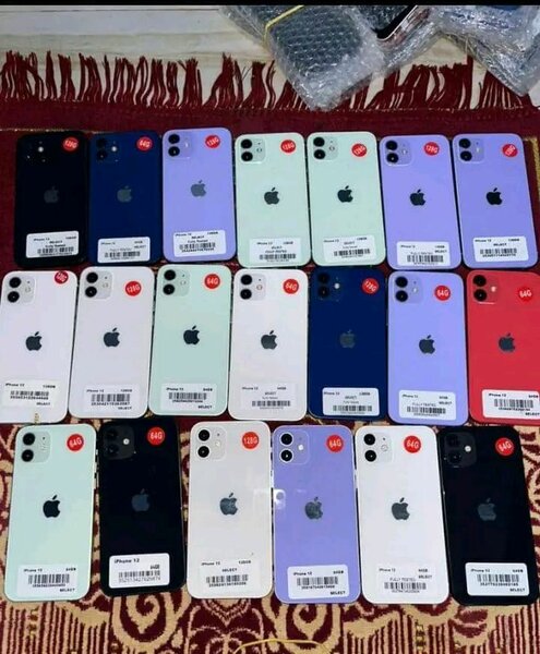 iPhone 11 - Multiples Coloris