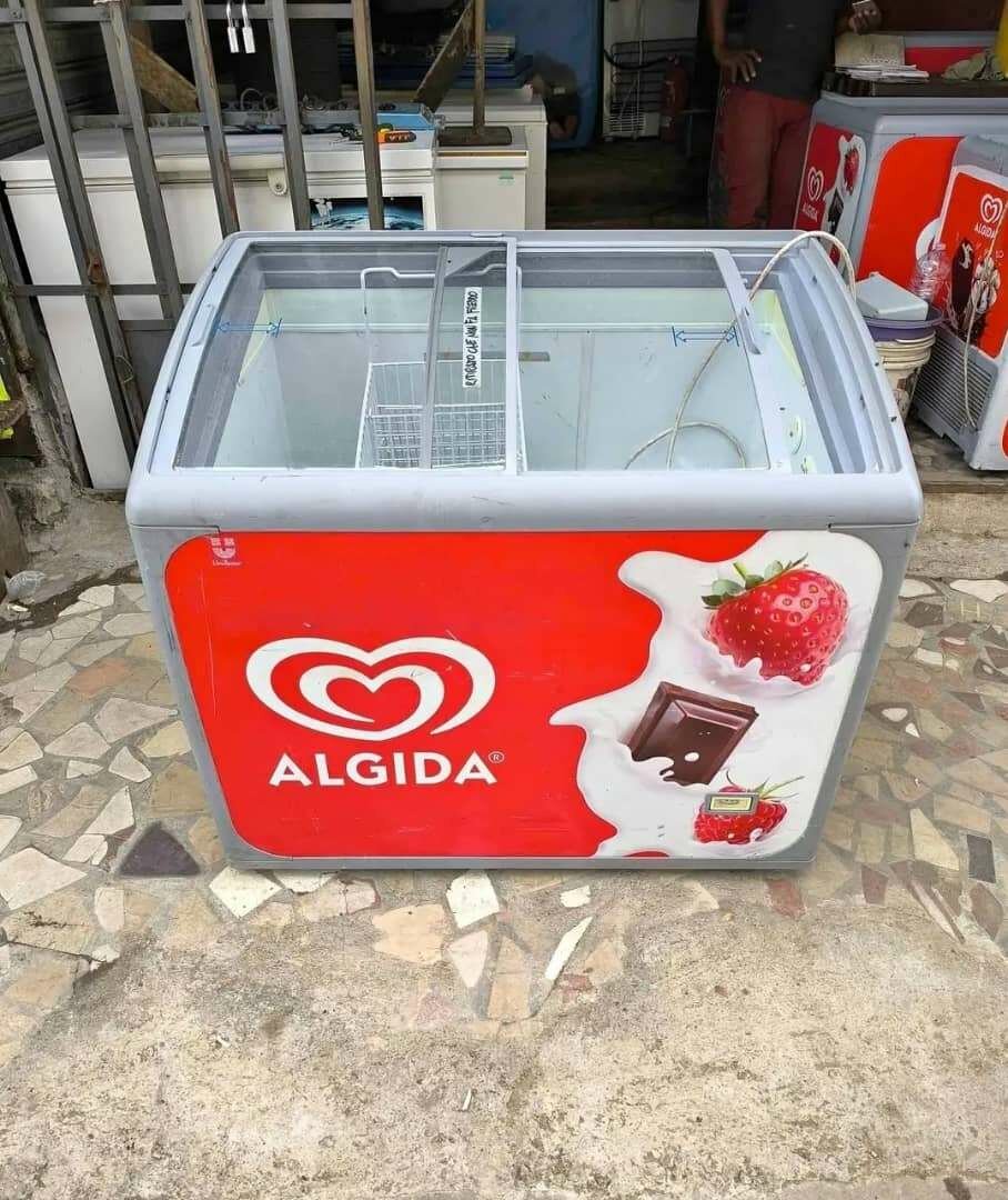 Congélateur à Crème Glacée Algida