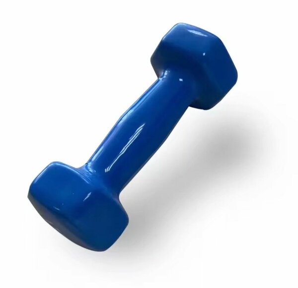 Haltères ergonomiques 1kg