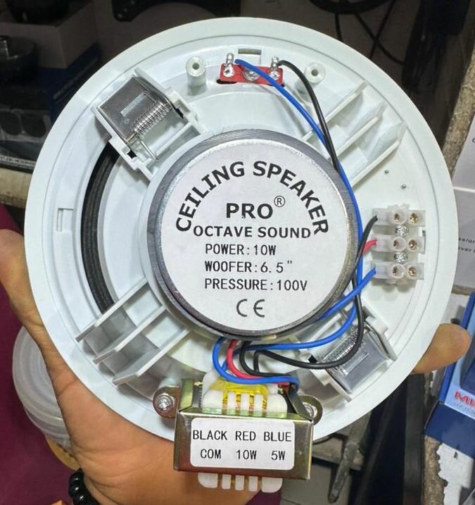 Enceinde plafond Pro 10W blanc