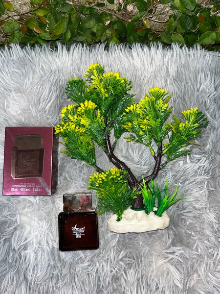 Parfum Secret pour Hommes