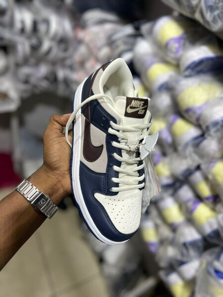 Baskets Nike SB Bleu et Blanc