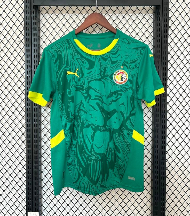 Maillot Foot Puma Côte d'Ivoire