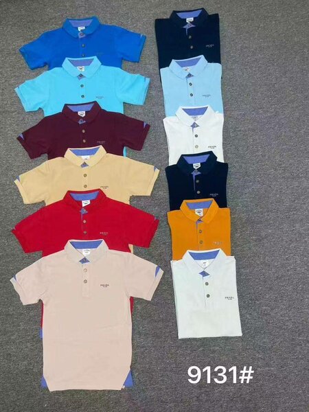 Polo homme élégant varié