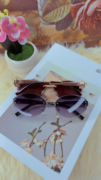 Lunettes de soleil élégantes