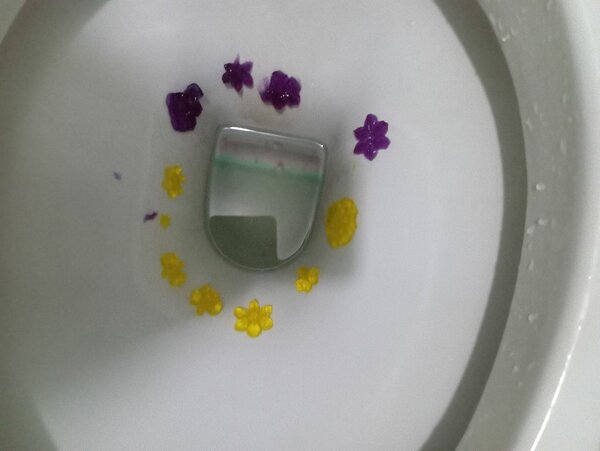 Déodorant WC fleurs parfumées