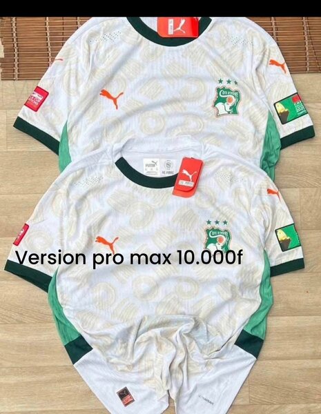 Maillot Côte d'Ivoire Puma