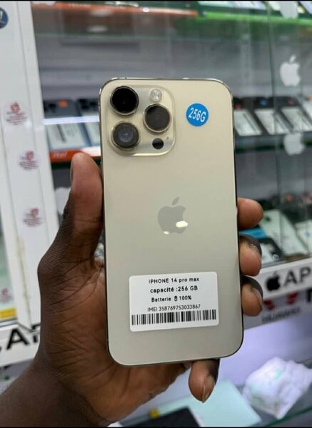 iPhone 14 Pro Max 256 Go