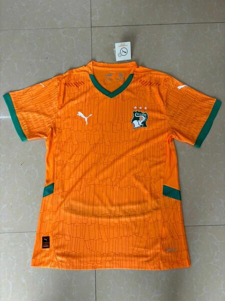 Maillot de Côte d'Ivoire Pro M