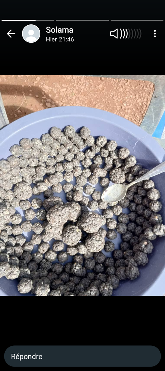 Délicieuses Boulettes Épicées