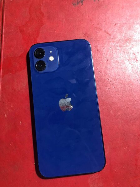 Apple iPhone 11 d'occasion