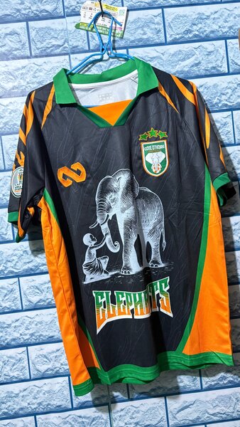 Maillot de football éléphant