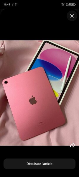 Apple iPad Mini Rose + Stylet