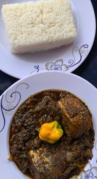 Riz et Sauce épinard