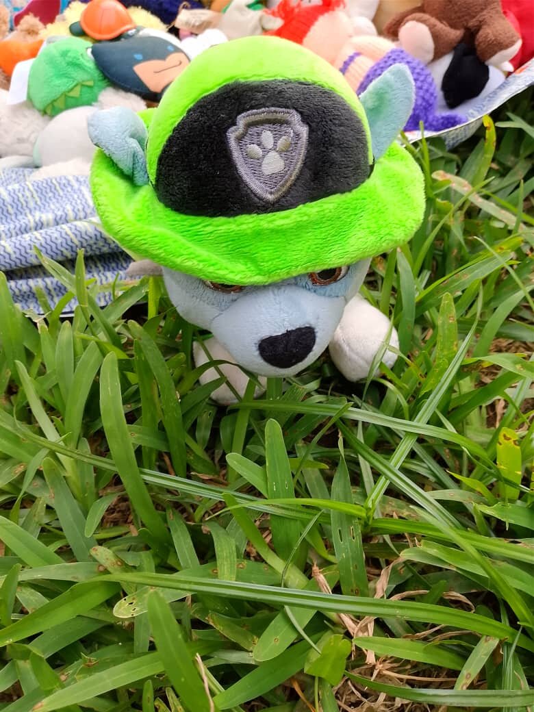 Peluche Pat'Patrouille Rocky