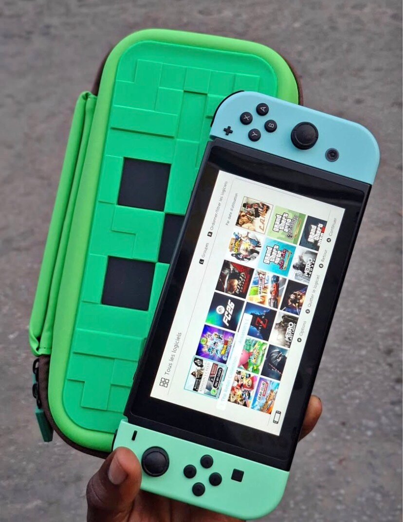 Nintendo Switch Lite Case
