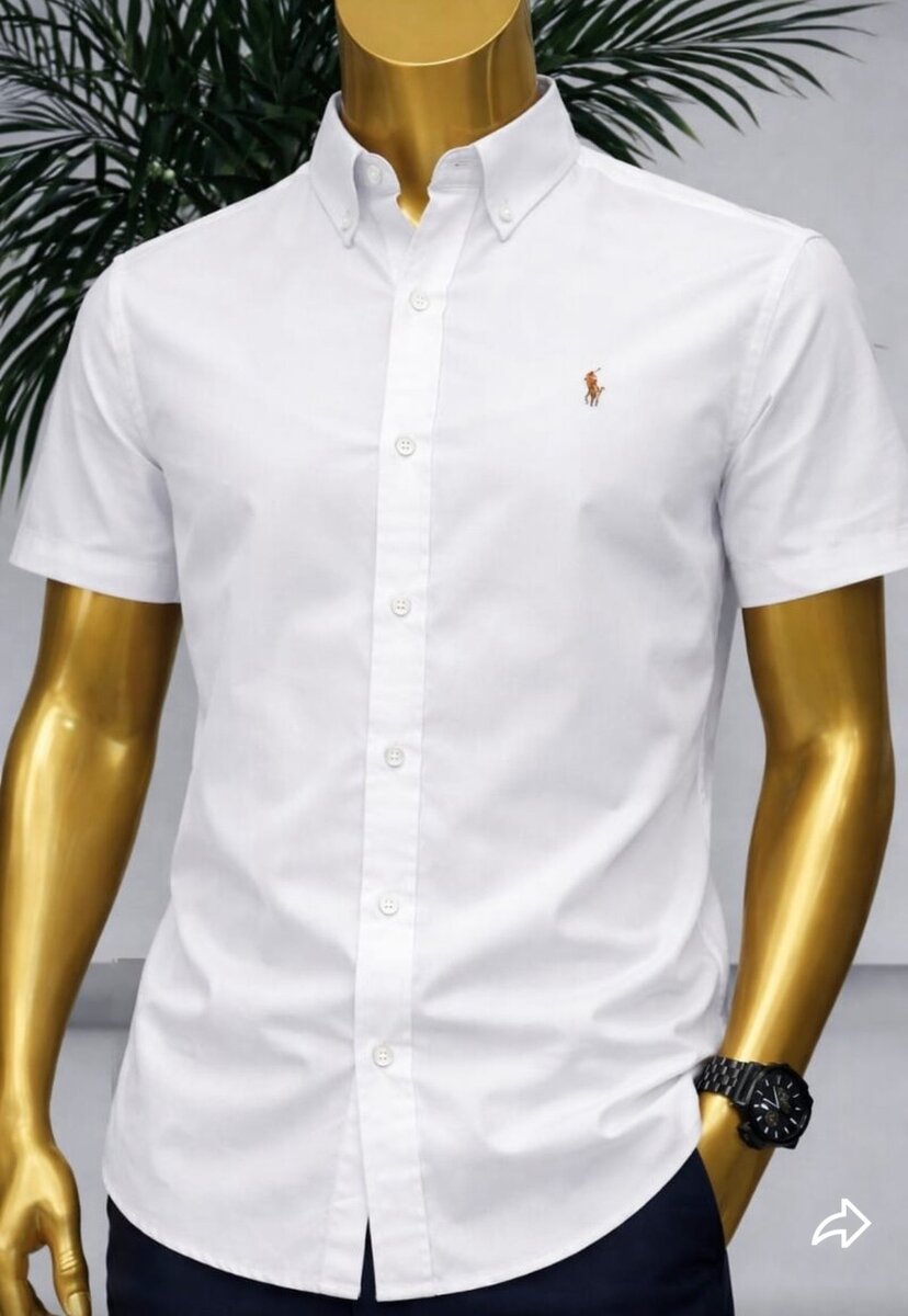 Chemise Homme Élégante