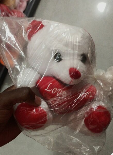 Ours en peluche amour 21 Cm