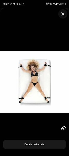 Ensemble de retenue premium